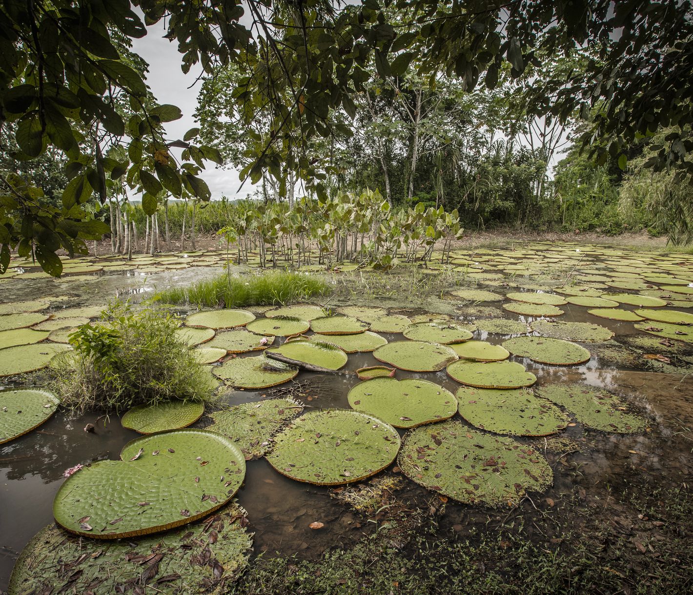 Die unverfälschte Natur geniessen