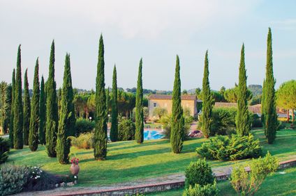 7. Bild der Unterkunft