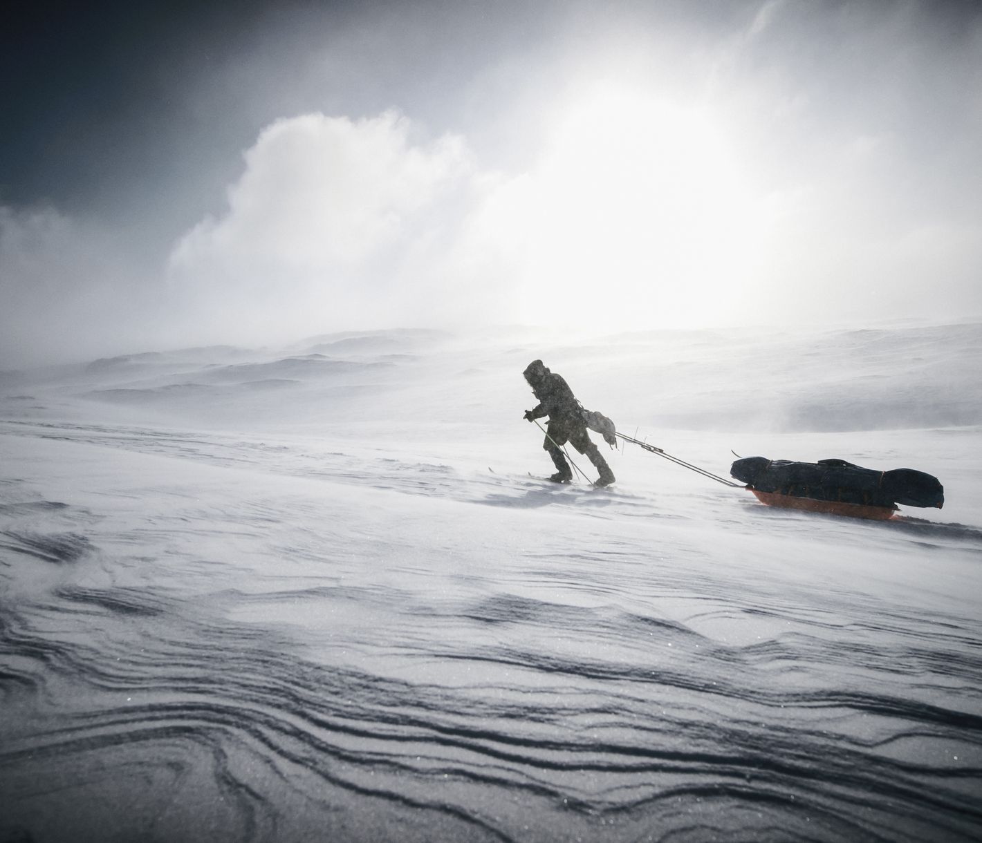 Auf den Spuren der Expeditionen in die Arktis