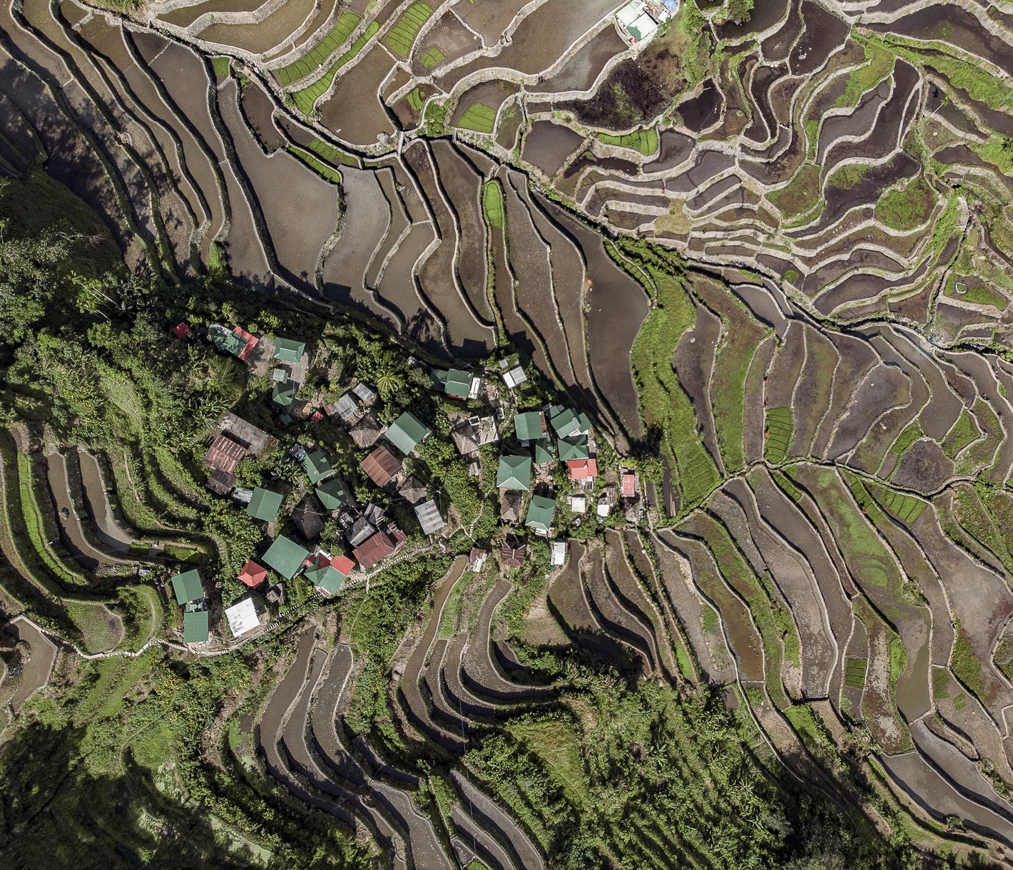 Ce charmant village typiquement Ifugao est classé par l’UNESCO au patrimoine mondial de l’Humanité.