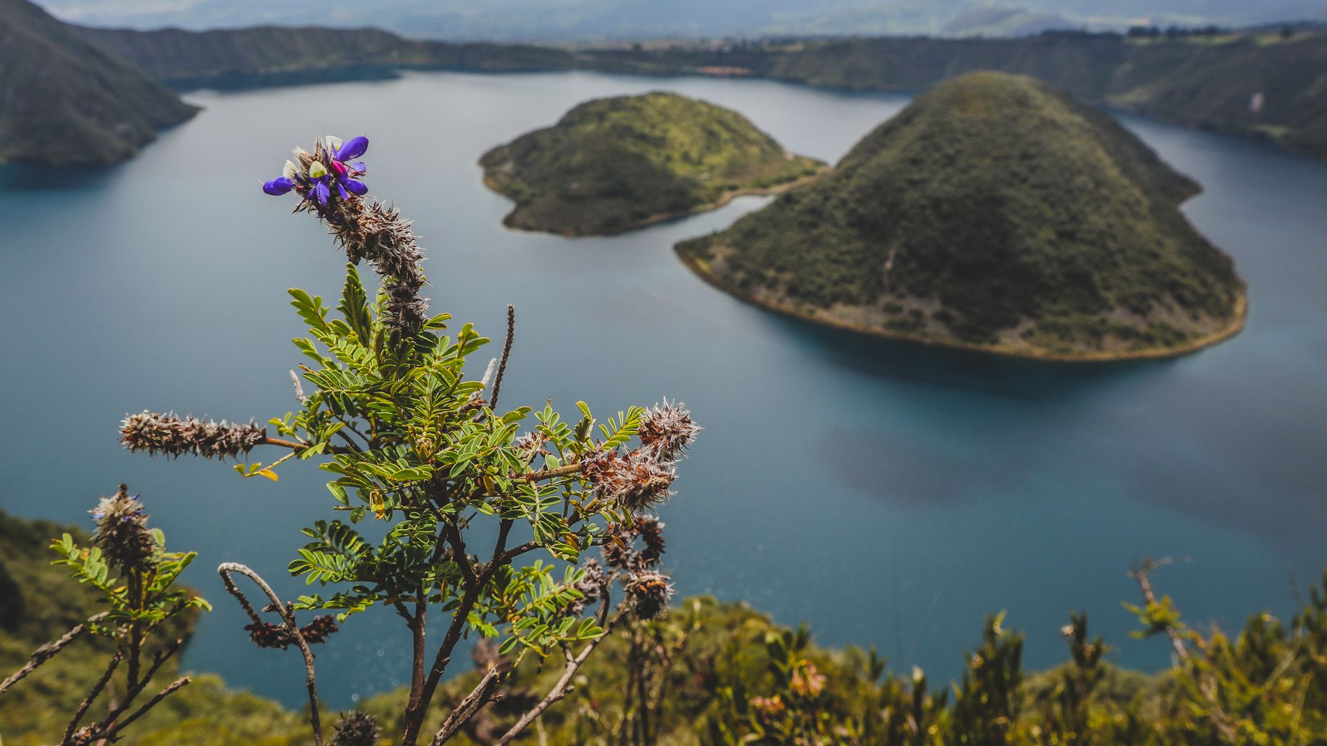 Von tiefblau bis smaragdgrün schimmernd – die Lagune Cuicocha