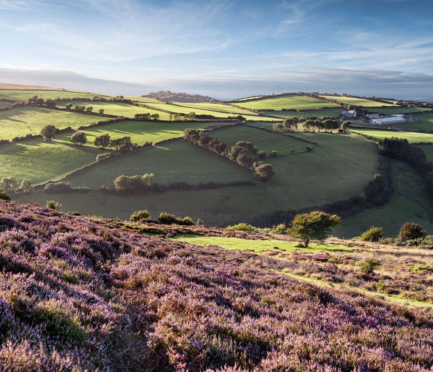 Ein Flickenteppich der Superlative