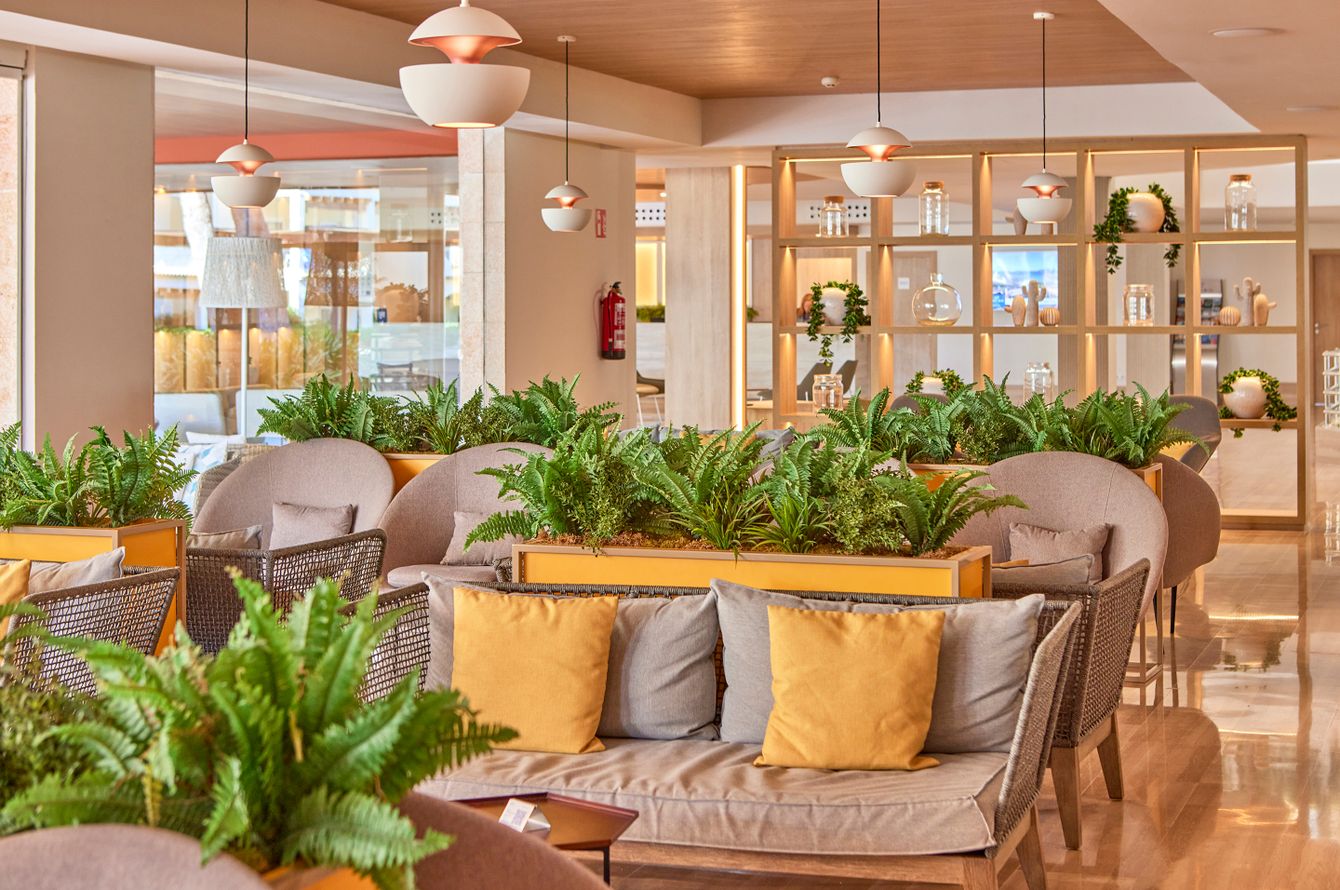 Café