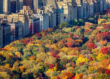 Les couleurs automnales de Central Park contrastent avec les vénérables bâtiments de l’Upper West Side.