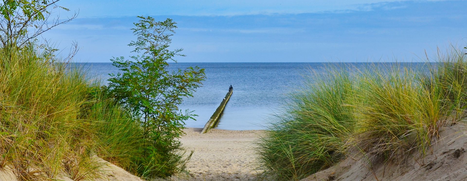 Dünen am Strand von Koserow