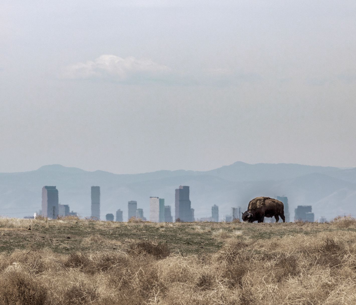 Denver überzeugt mit Attraktionen von Weltrang und der unmittelbaren Nähe zu den Rocky Mountains.