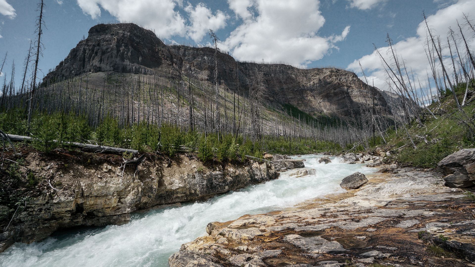 Le parc national de Kootenay offre de nombreux points forts très contrastés.