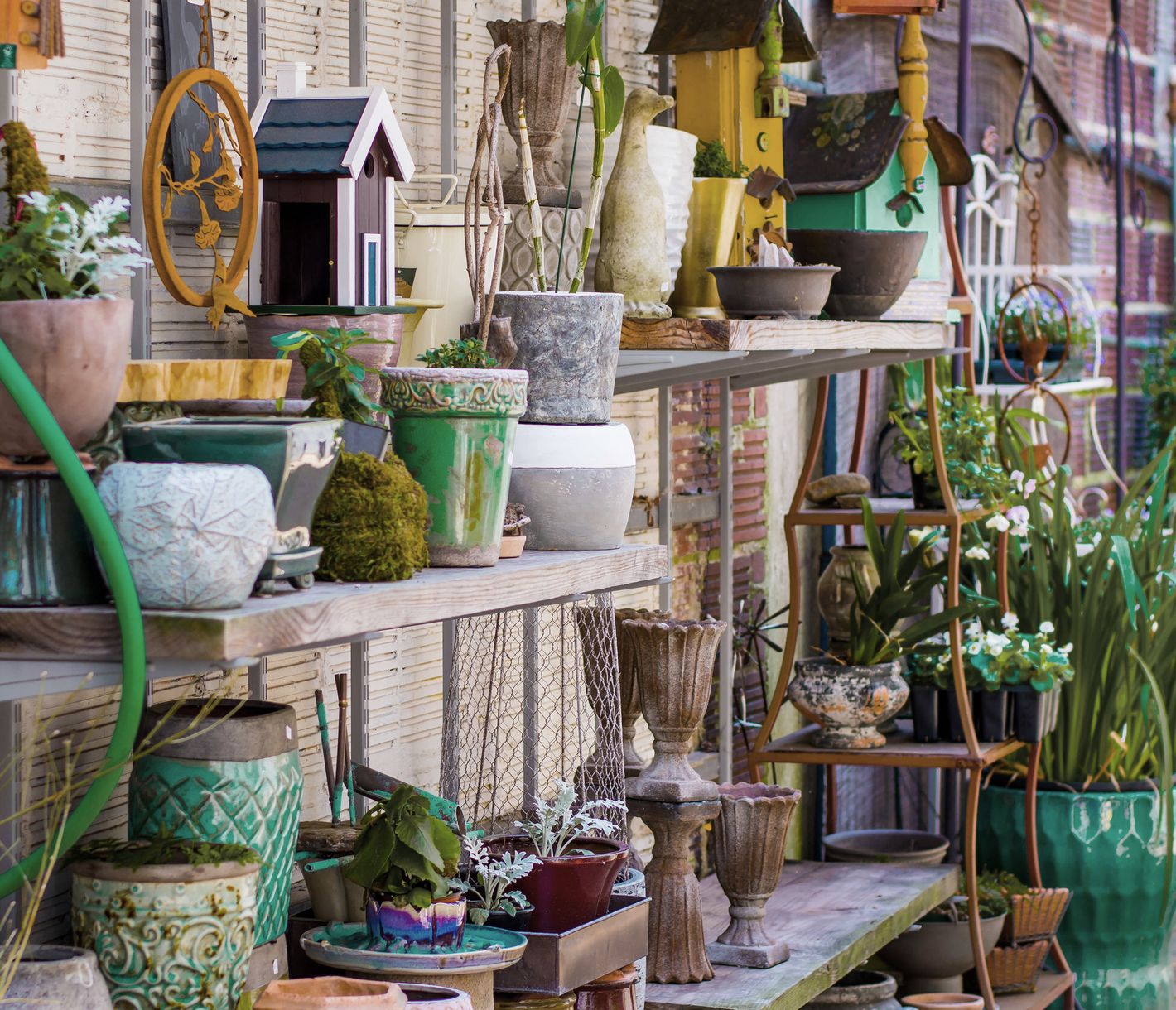 Die Kunstszene von Asheville ist wahnsinnig lebendig.