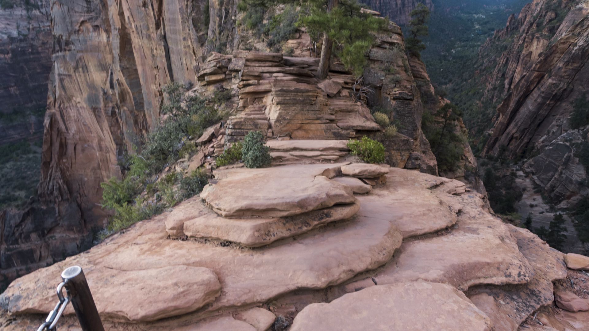 Angels Landing ist der Klassiker unter den Wanderungen im Zion National Park.