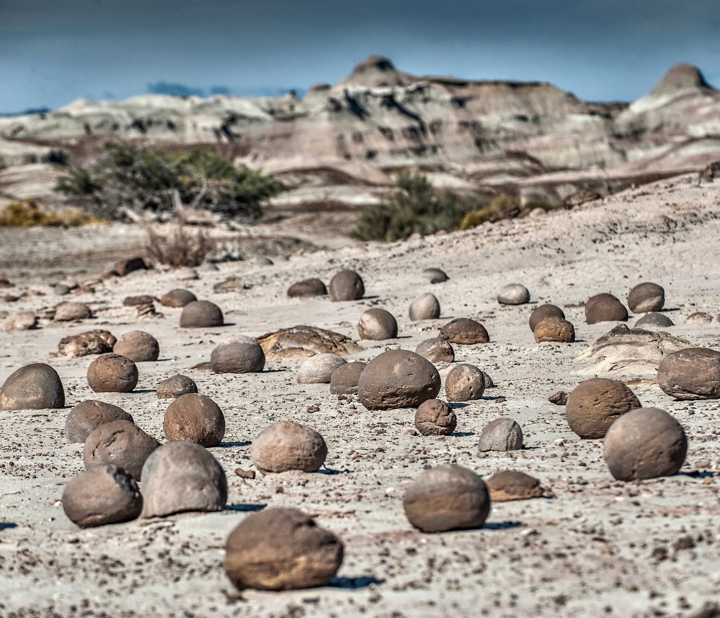 Die Rätsel des Ischigualasto-Parks.