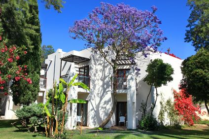 40. Bild der Unterkunft