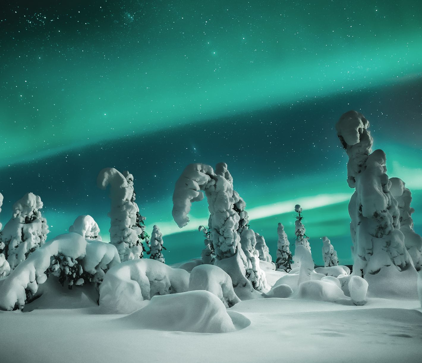 Nordlichter am Polarhimmel erscheinen meist grün.