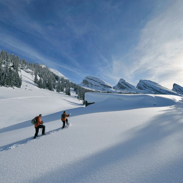 Toggenburg im Winter