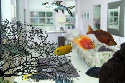 4. Bild der Unterkunft