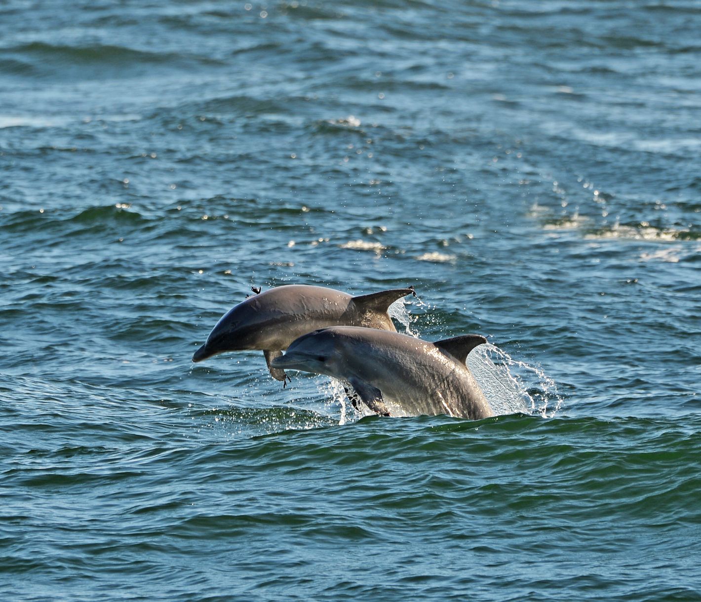 St. Andrews State Park