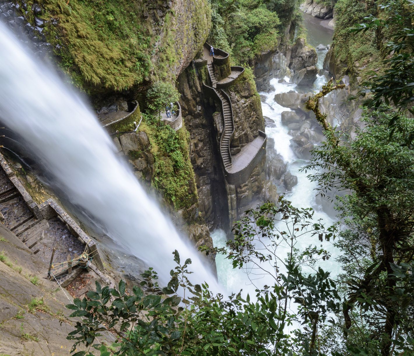Nichts für schwache Nerven