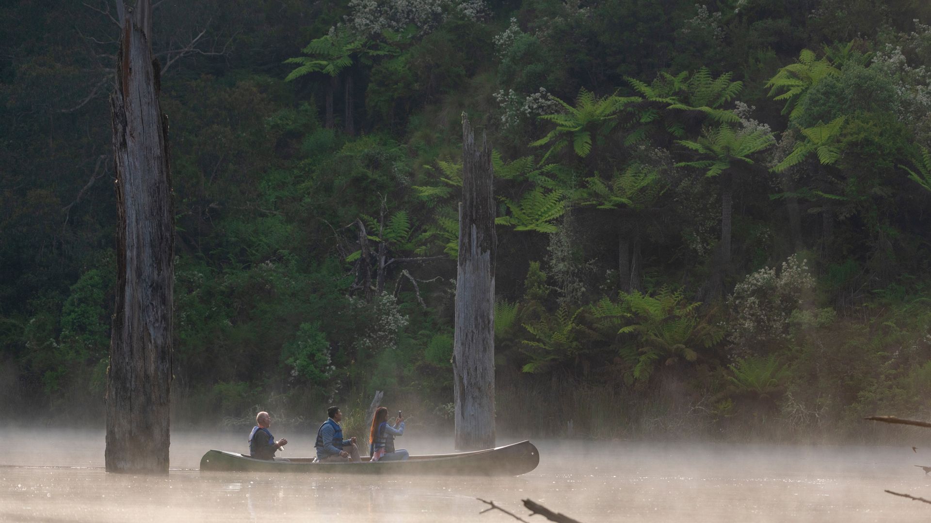 Great Otway National Park
