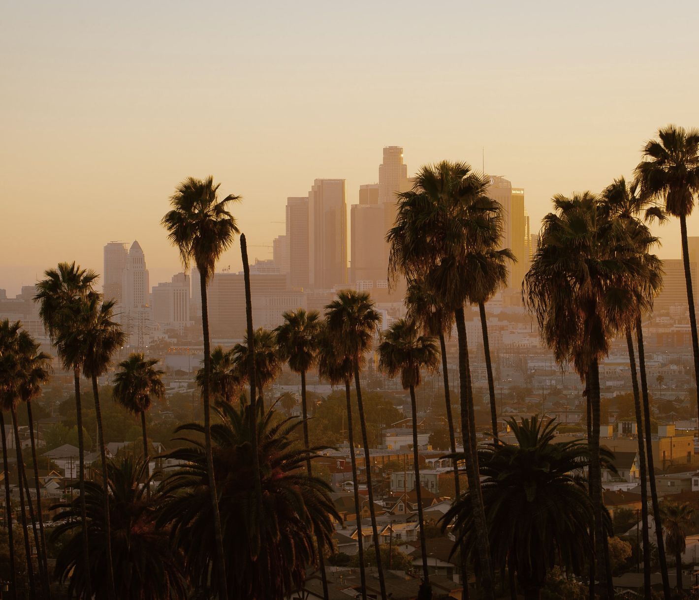 Downtown Los Angeles ist schon von weitem ersichtlich.