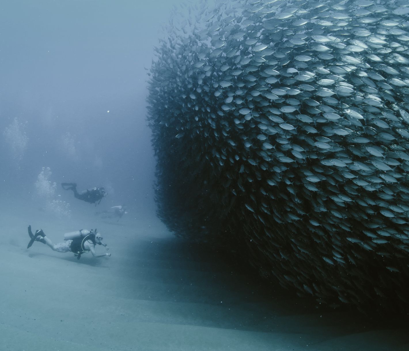 Mysthische Unterwasserwelt