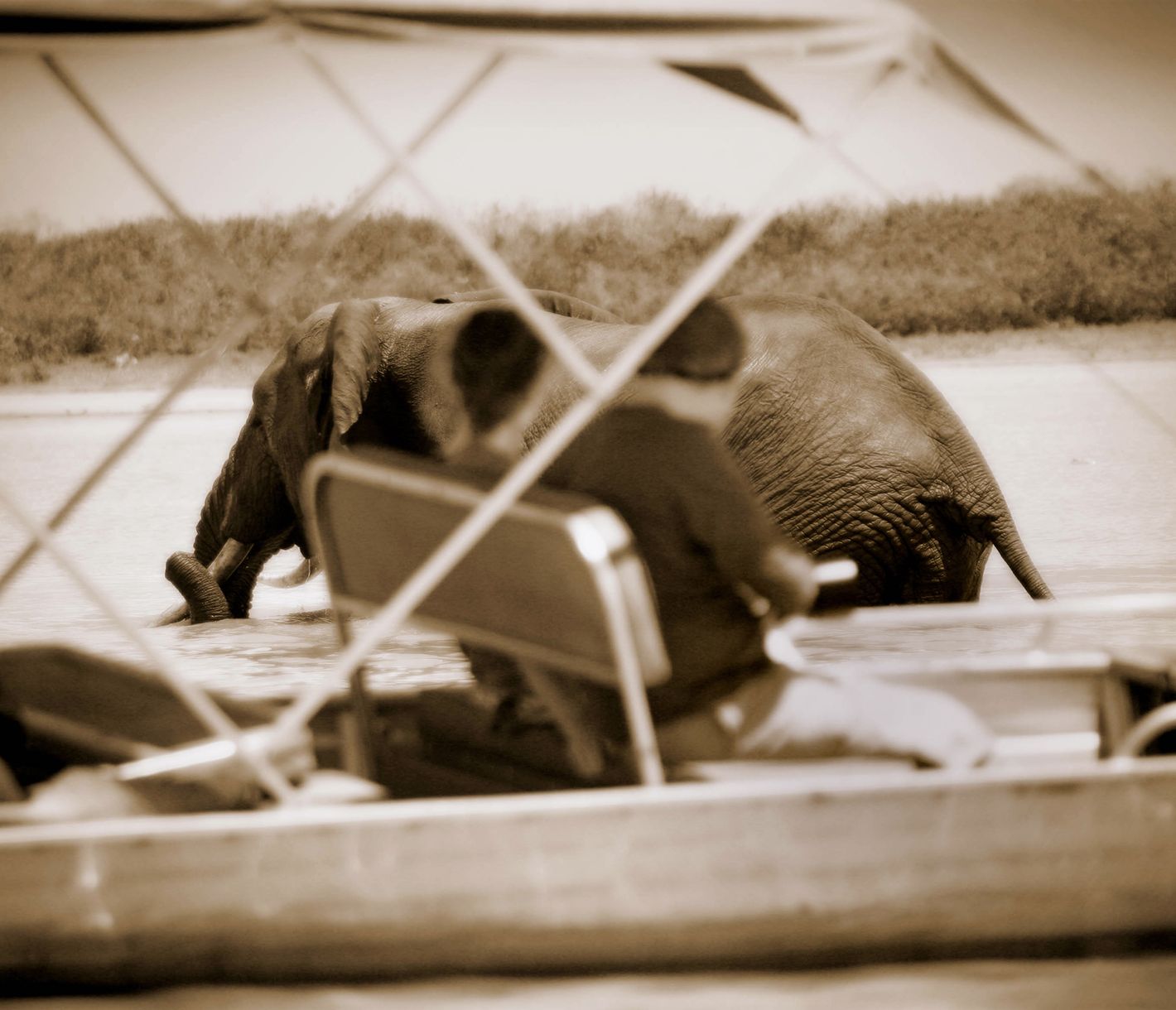 Bootssafari auf dem Nzerakera-See im Nyerere-Nationalpark