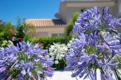 9. Bild der Unterkunft