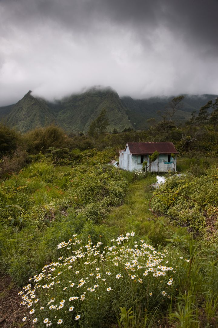 Kleine Hüte im kreolischen Stil inmitten von Grün auf der Hochebene von La Plaine des Palmistes