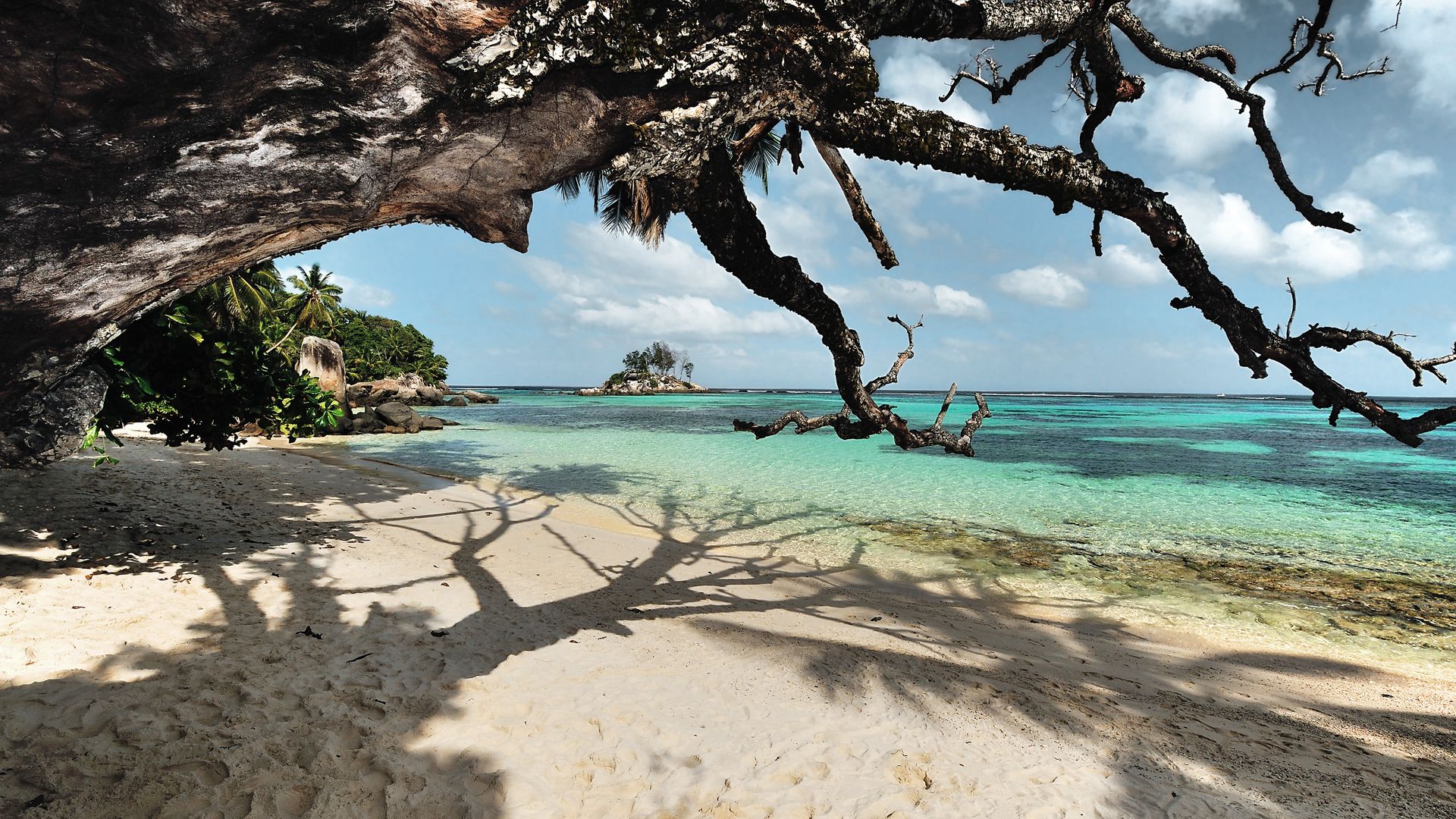 L’Anse Royale est une baie appréciée du sud-est de l’île principale de Mahé.