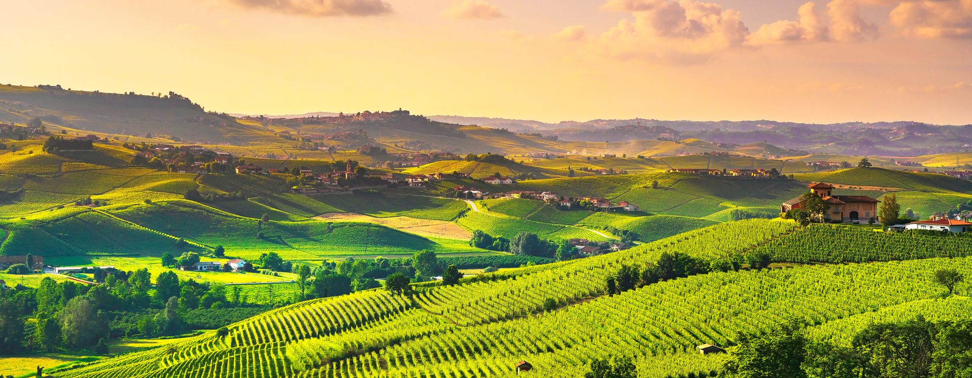 Castiglione Falletto