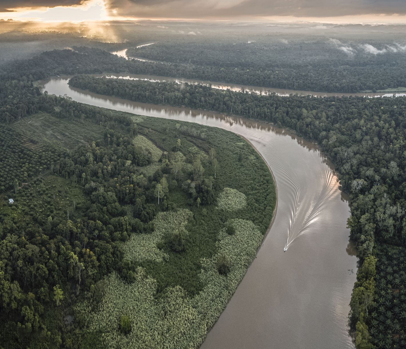 Safari auf dem Kinabatangan-Fluss