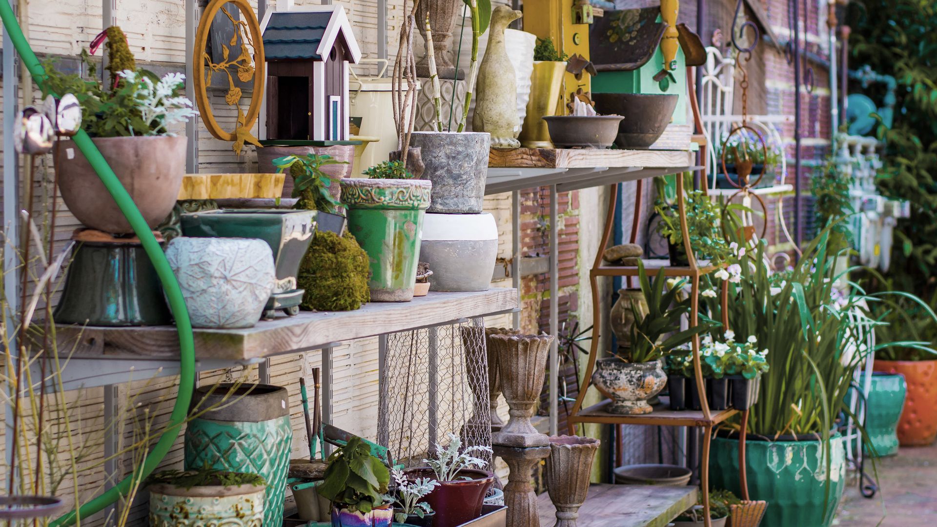 Die Kunstszene von Asheville ist wahnsinnig lebendig.