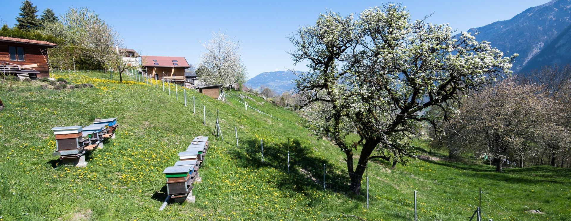 Saint-Maurice im Sommer
©Tintinphotographie