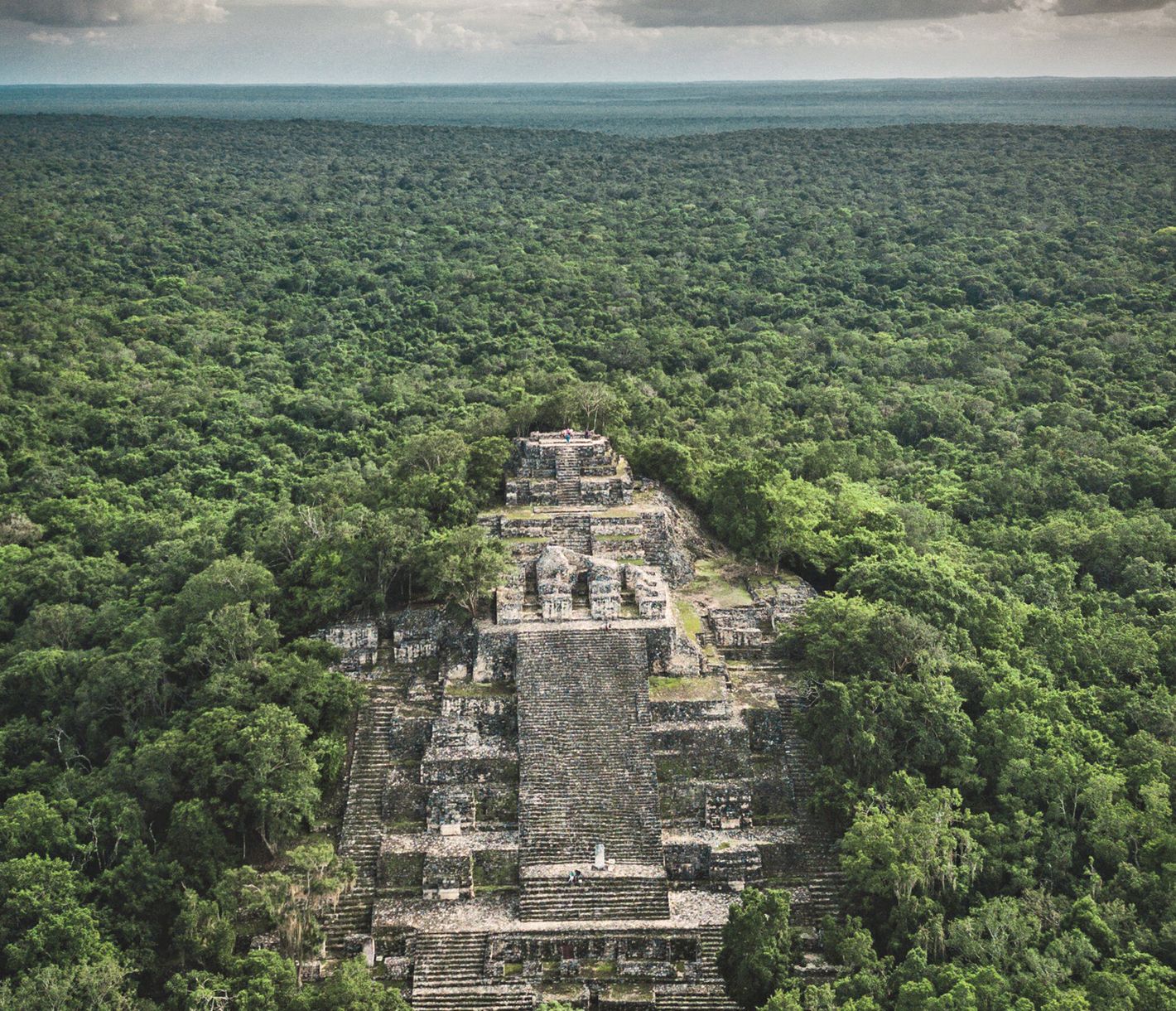 De pierre et de bois, le mystérieux site de Calakmul