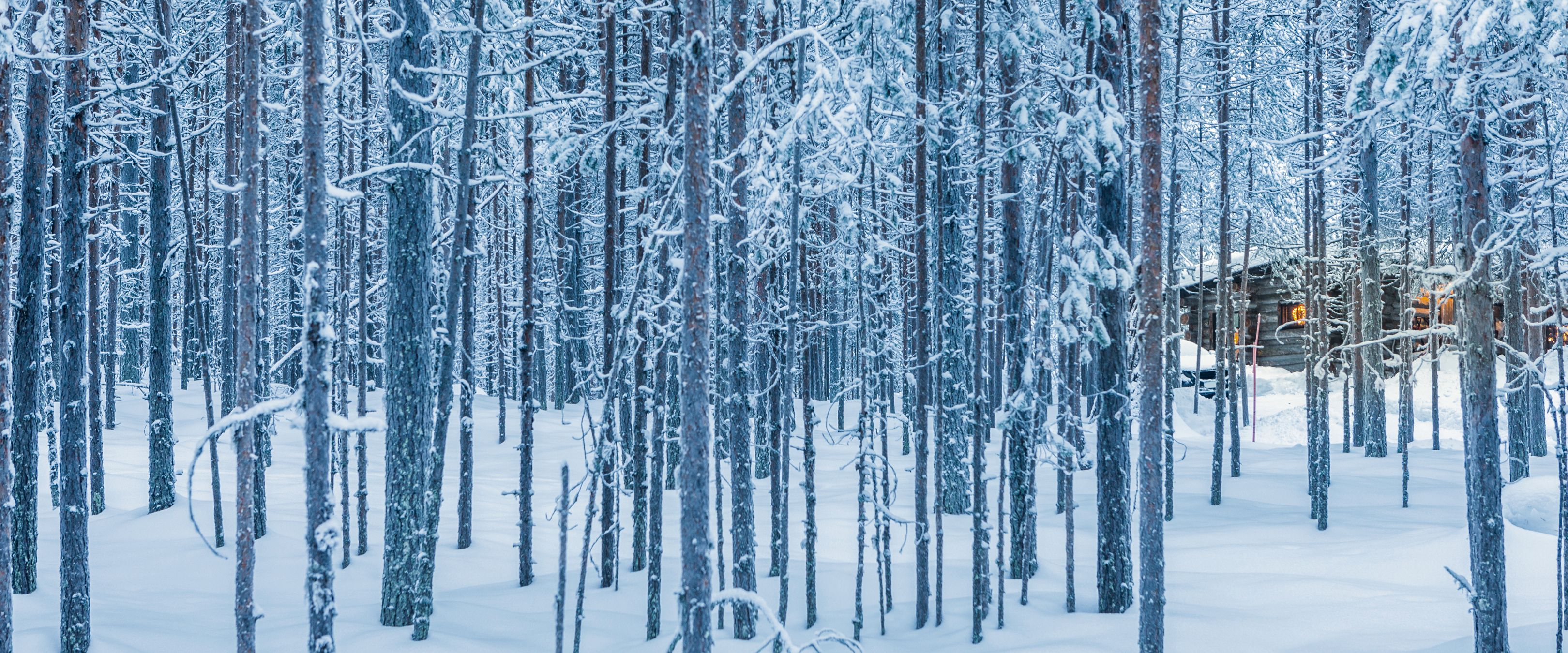 Un chalet confortable possédant son propre sauna et cheminée