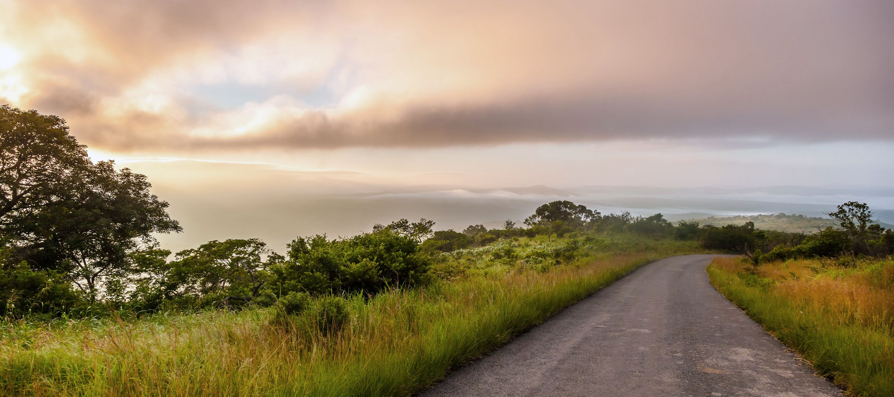 Zone de collines et de broussailles dans le parc Hluhluwe-Imfolozi