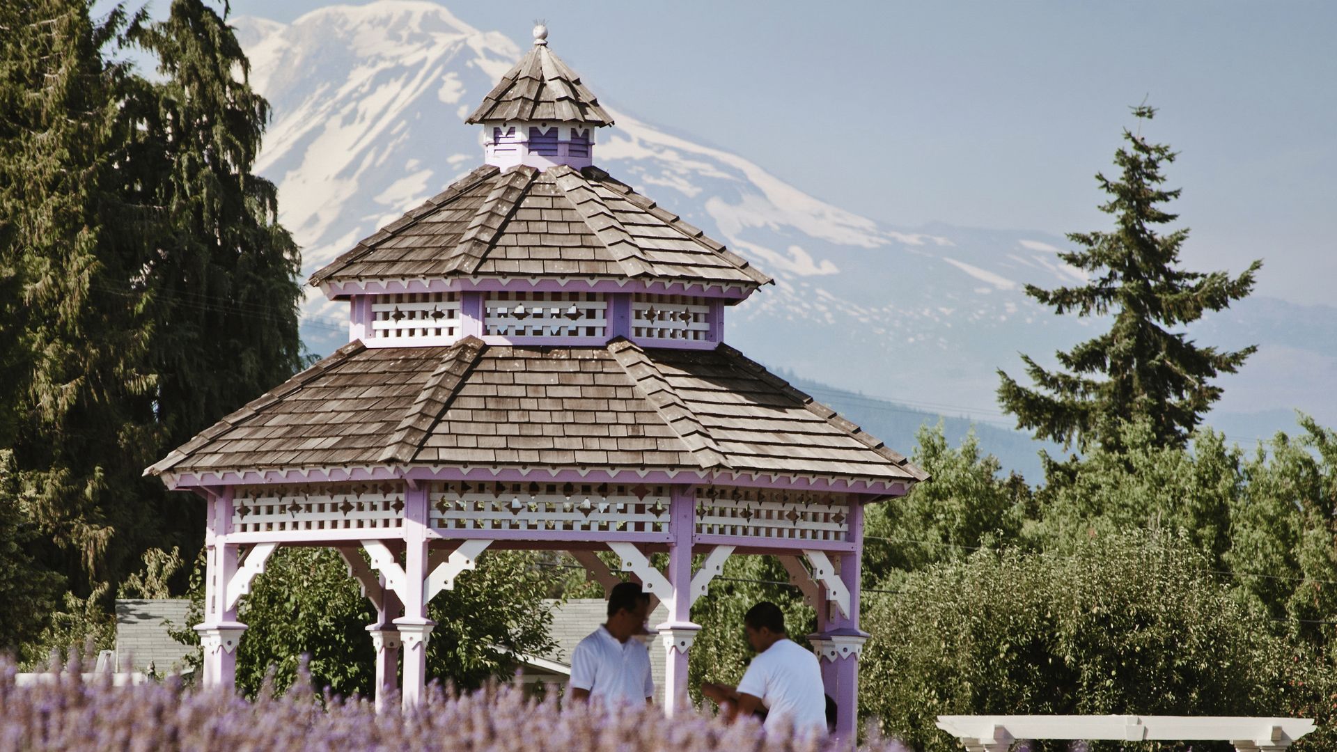 Ein Besuch der Lavendelfelder ist ein wahrer Genuss für die Sinne.