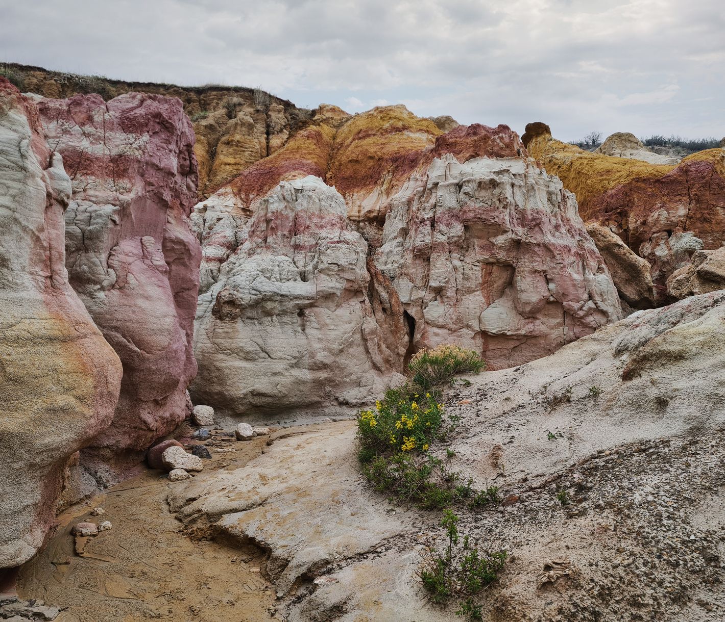 Der Paint Mines Interpretive Park ist eine faszinierende Ansammlung von geologischen Kuriositäten.
