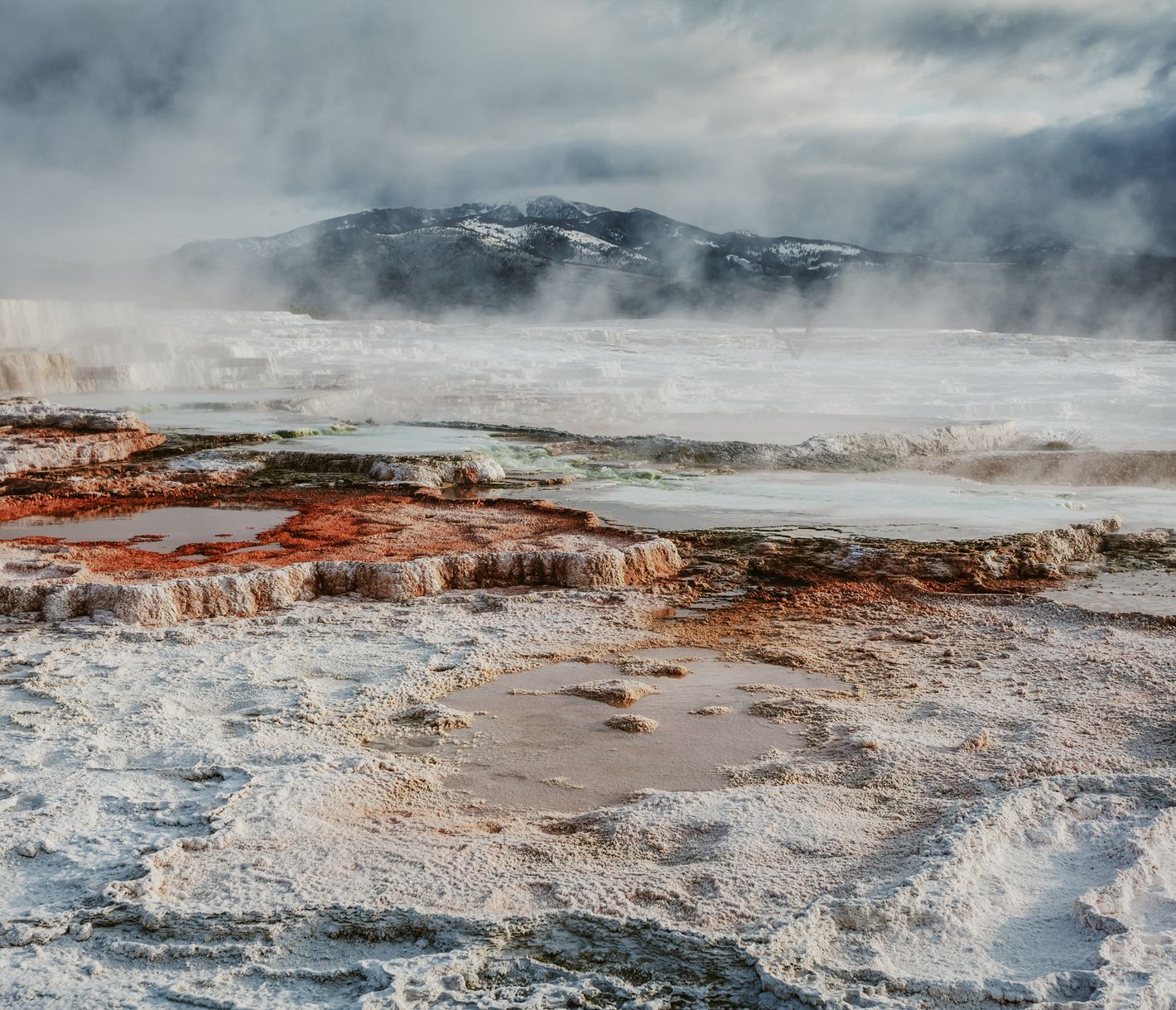 Die Mammoth Hot Springs im Yellowstone-Nationalpark