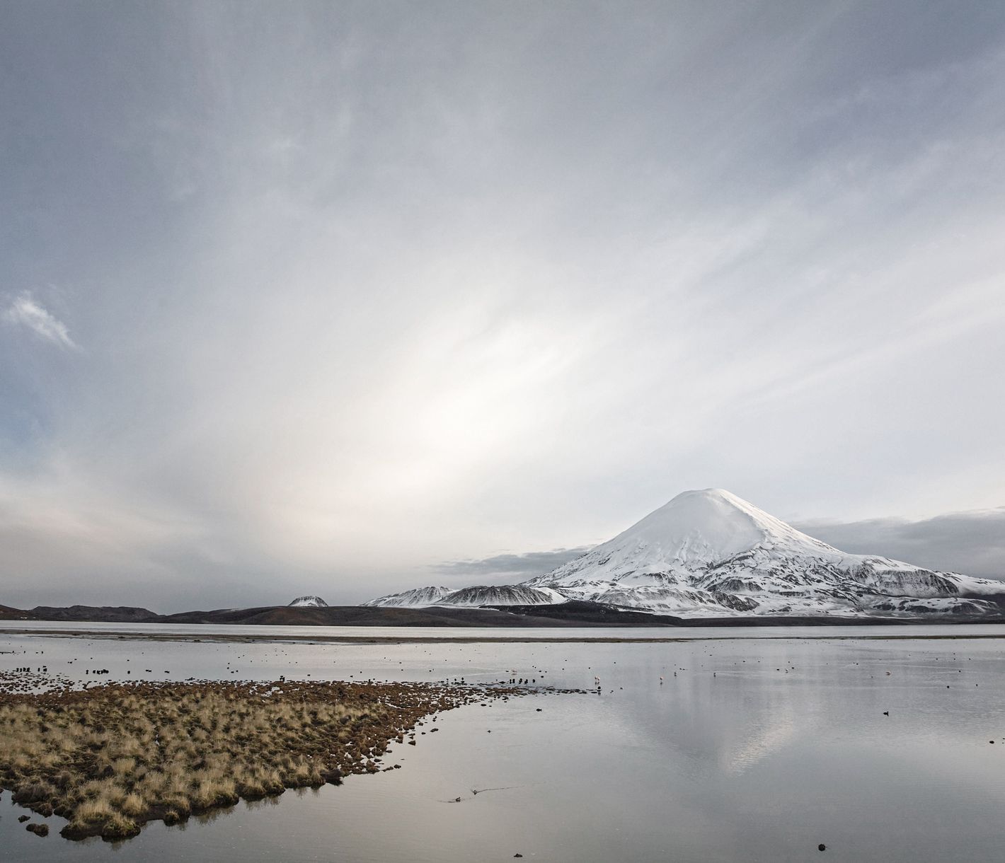 Am Lago Chungará