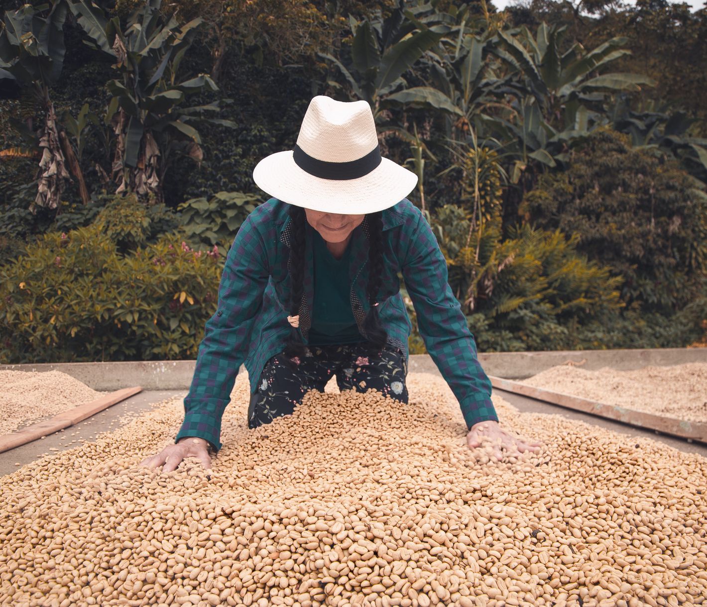 Kaffeeduft in den Bergen