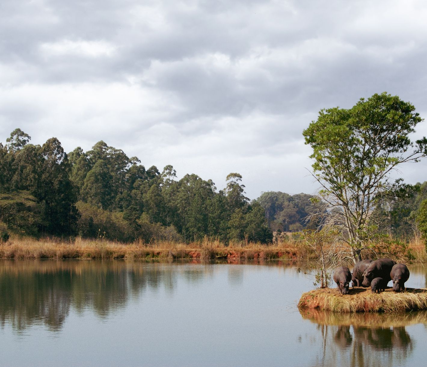 Eswatini, Milwane-Schutzgebiet