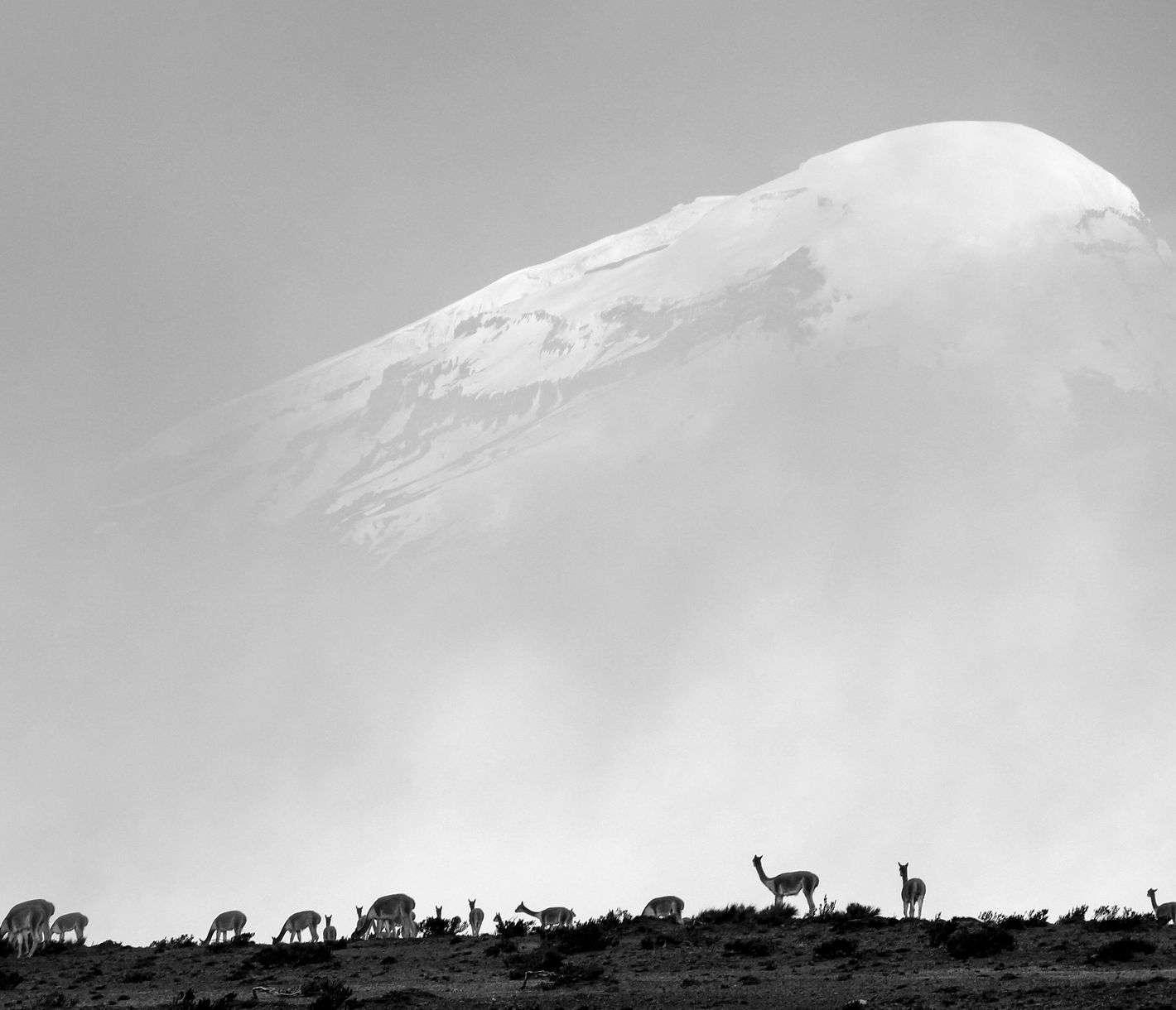 Chimborazo, un volcan qui tutoie les cieux