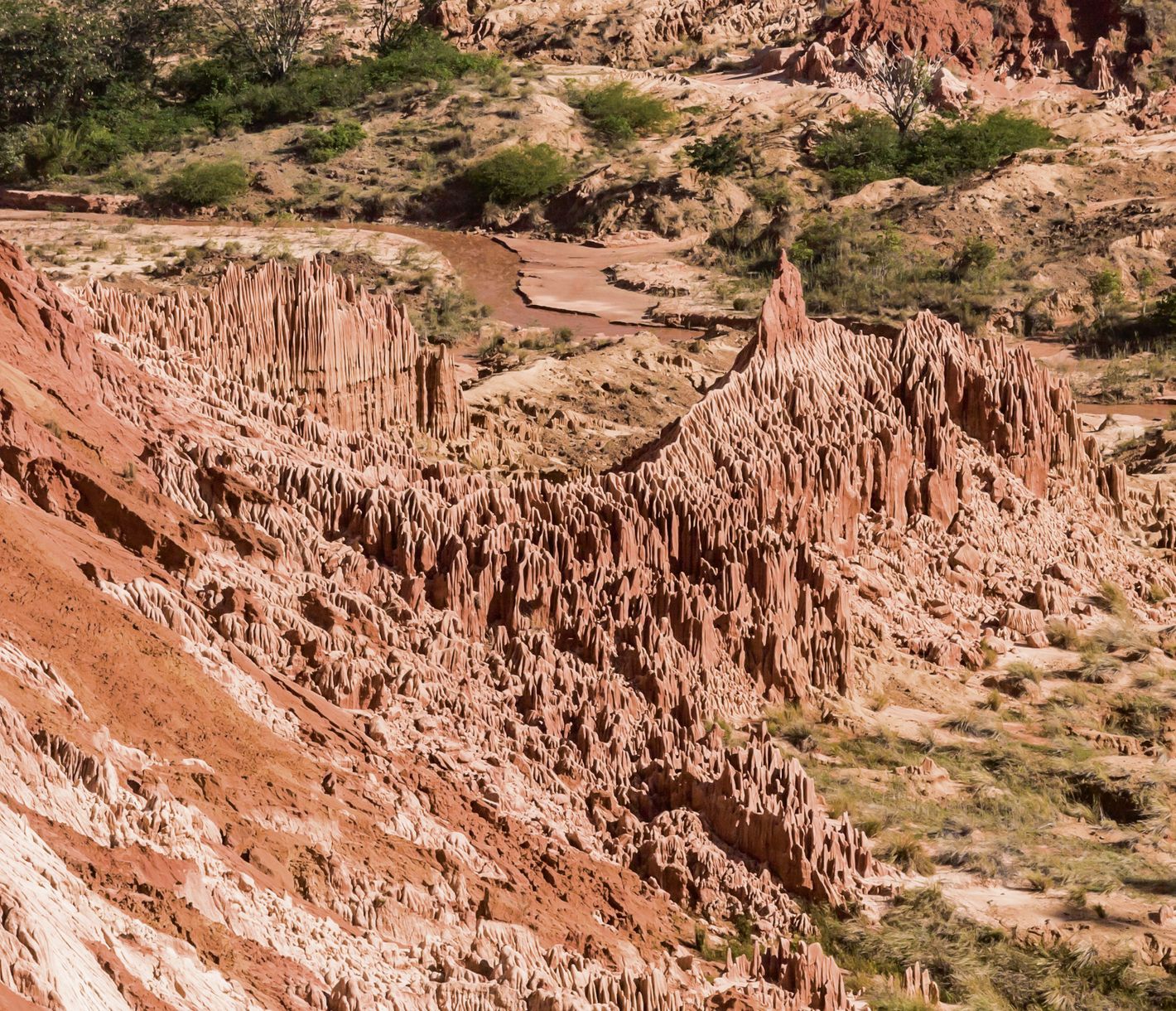Weitblick auf die Roten Tsingys von erhöhter Position