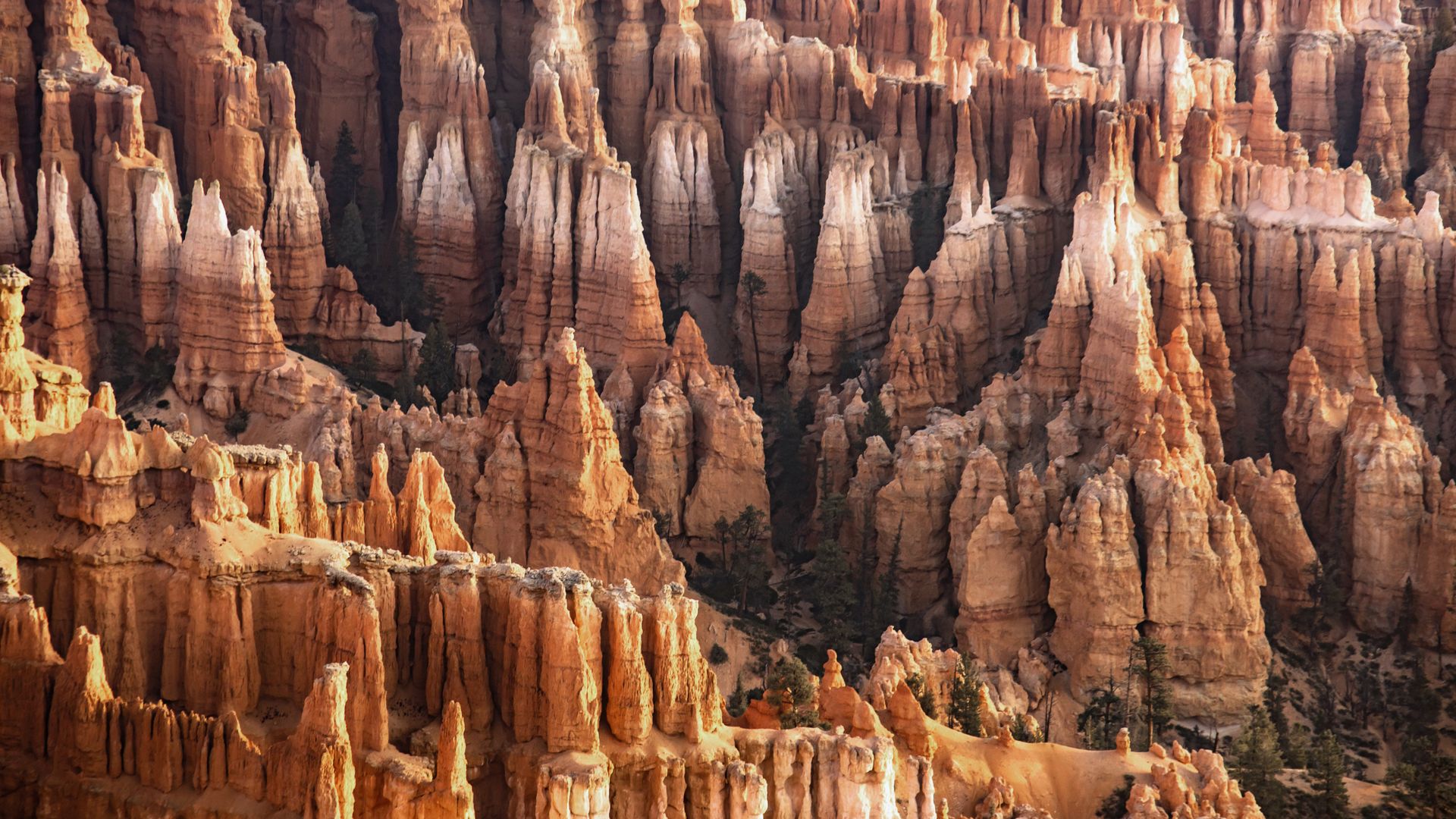 Der Bryce Canyon ist für seine schier endlose Ansammlung von skurrilen Kalksteintürmchen bekannt.