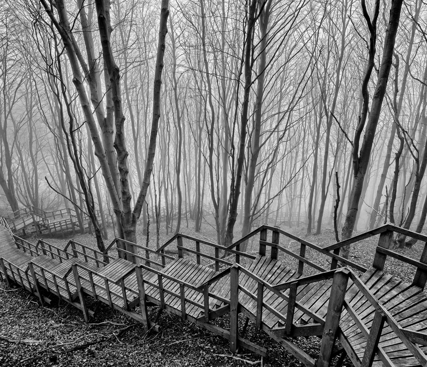 Eine Reise durch die Erdzeitalter