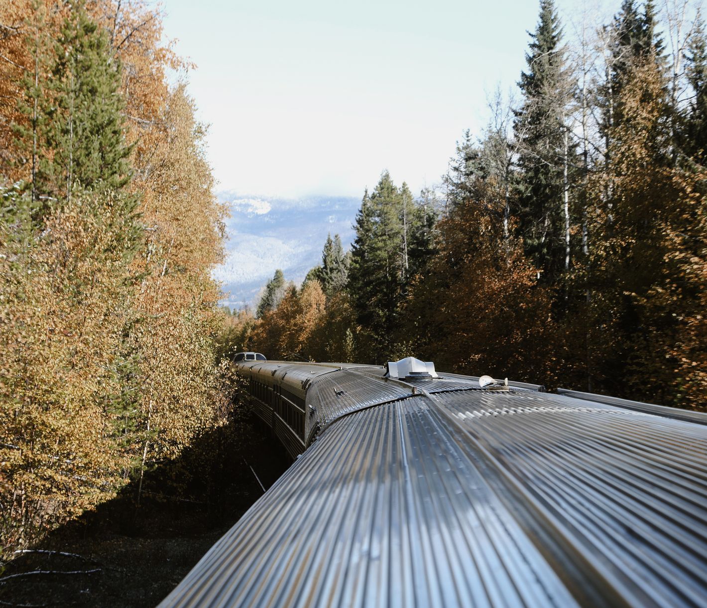 Los geht die Reise von Toronto nach Jasper