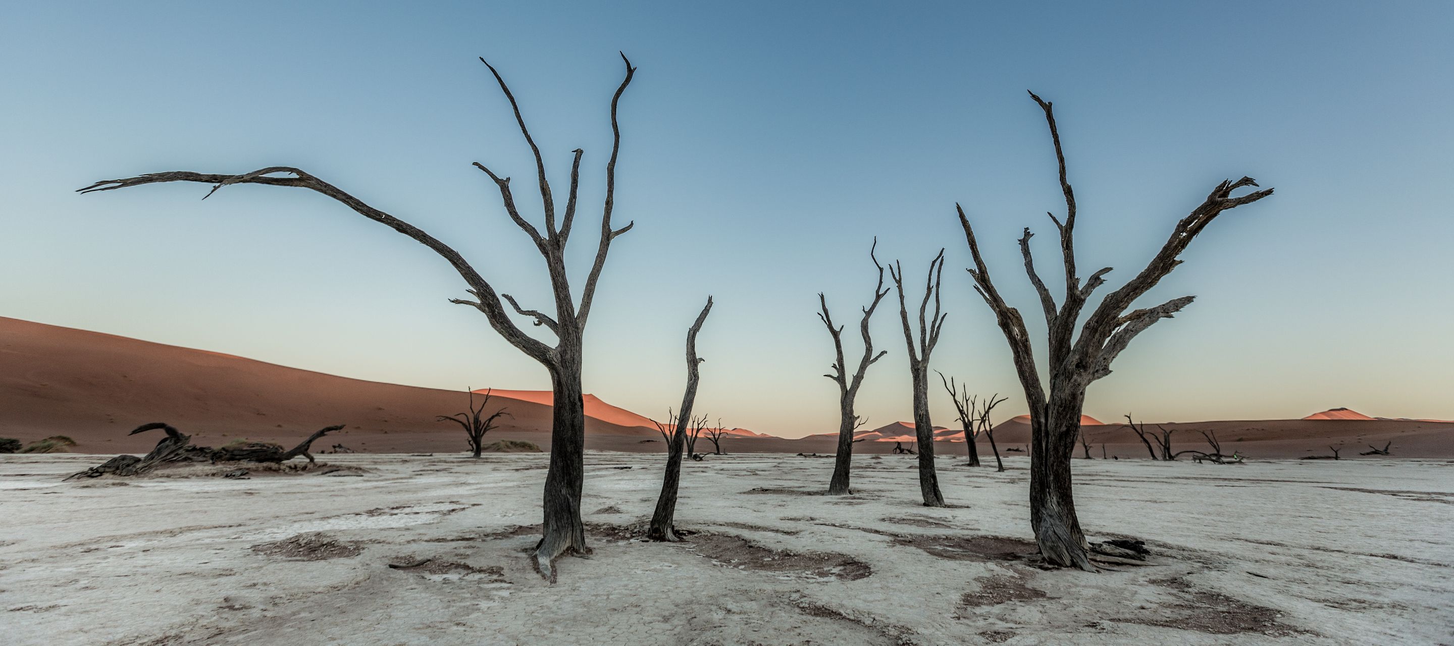 Vision fantasmagorique dans le désert du Namib