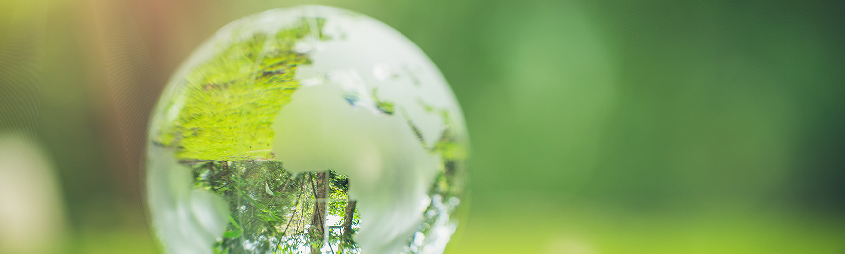 Eigene Geschäftsreisen kompensieren