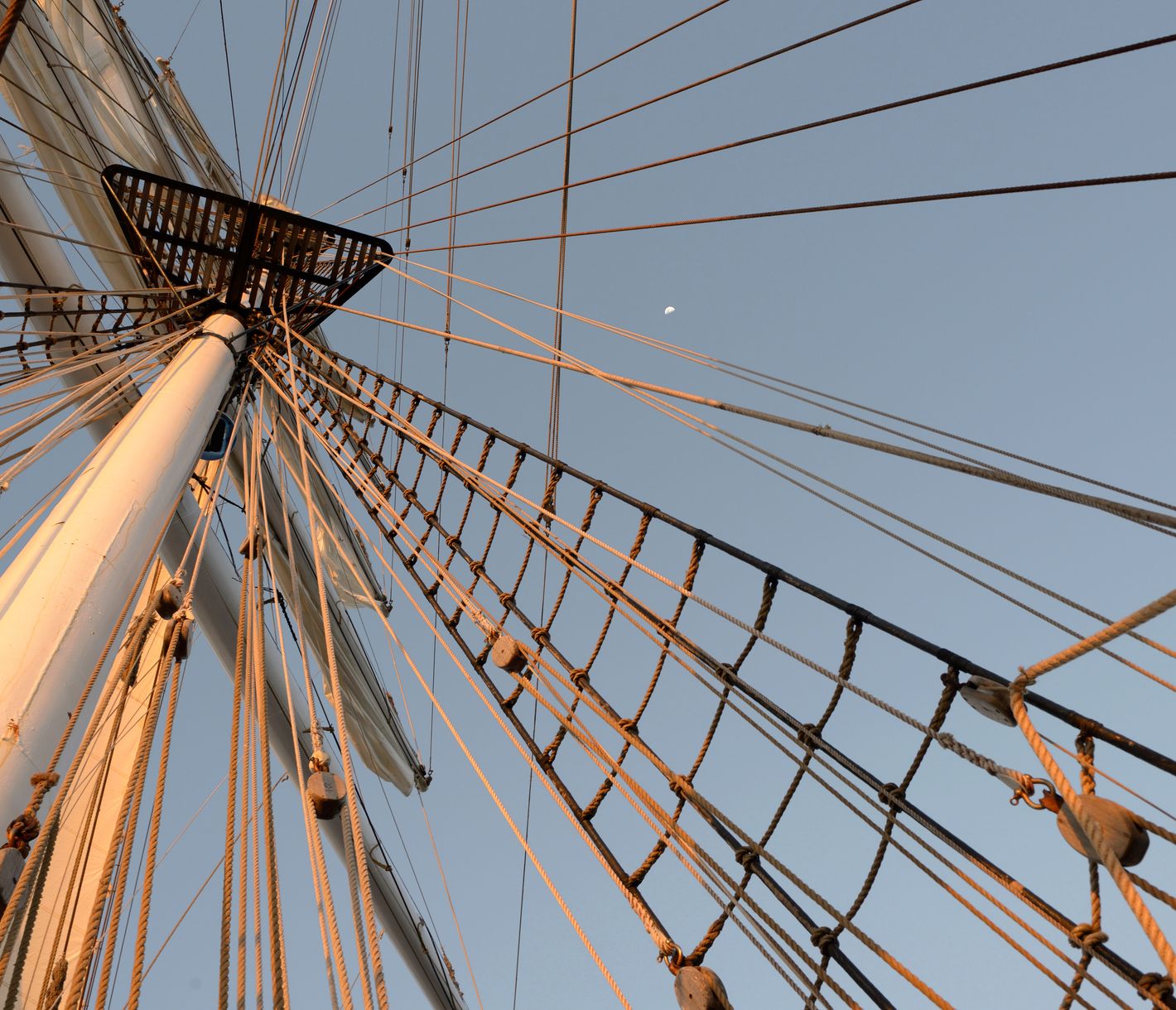 Das einzigartige Natur- und Tierparadies entdecken