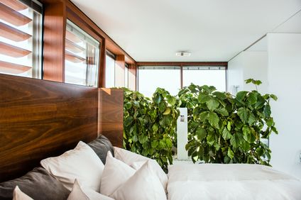 5. Bild der Unterkunft