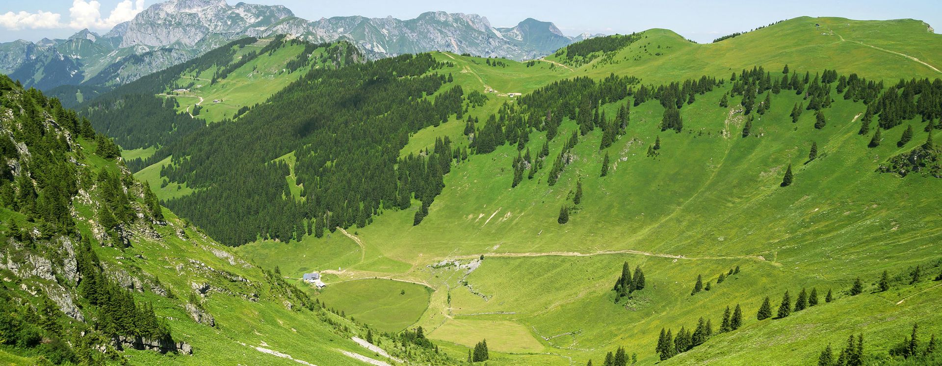 Die grüne Landschaft von Portes du Soleil